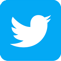 Twitter Logo (Icon)