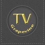 Tv grapevine logo